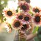 6 Pcs Tall Fake Sun Flowers Vintage Faux Sunflowers (Rust Pink) 6"D x 6"W x 26"H